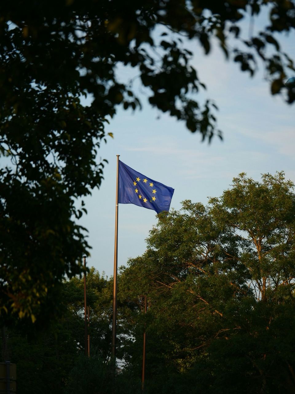 How to evaluate EUDR due diligence tools for SME coffee and cocoa supply chains