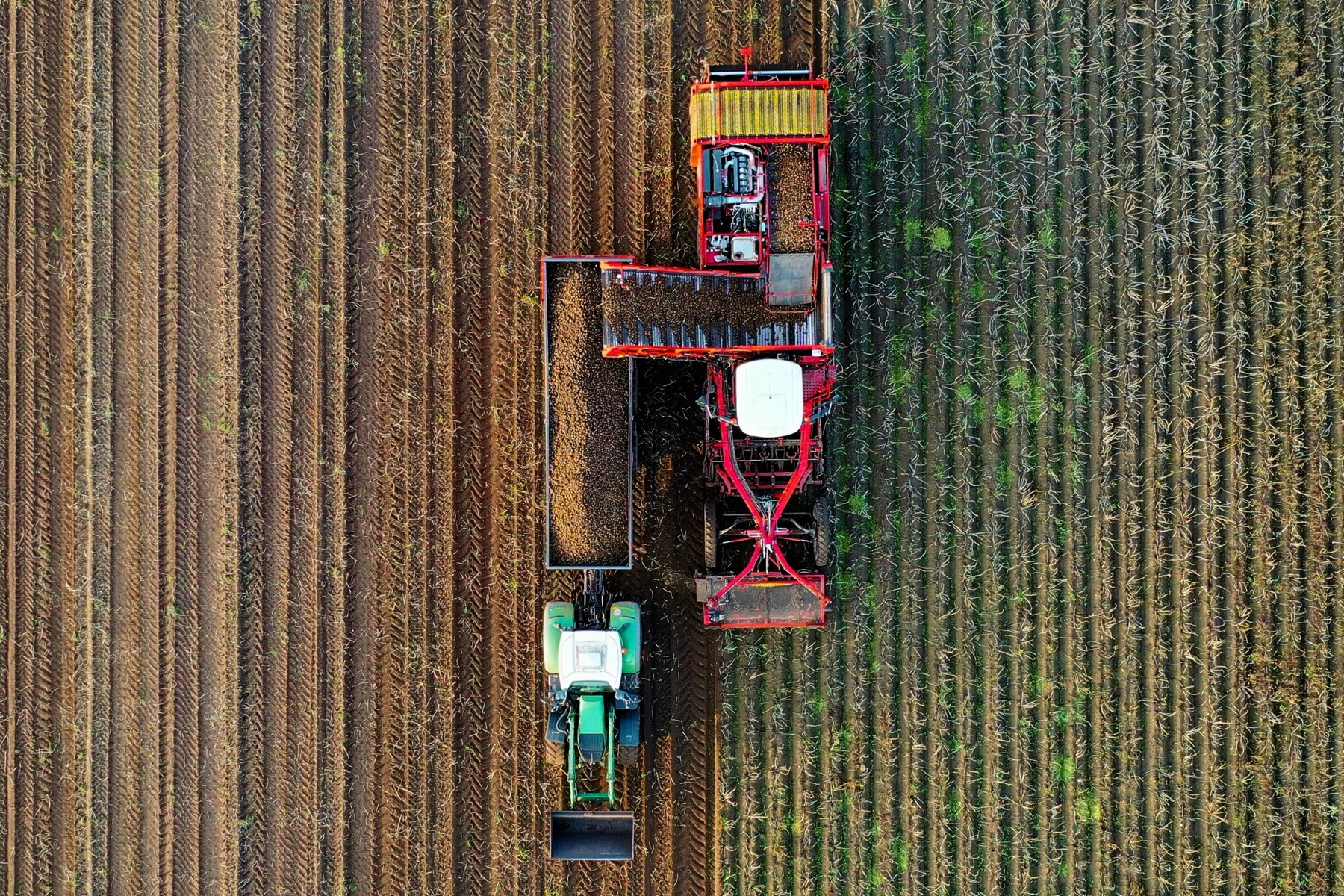 Green farming fields with a tractor