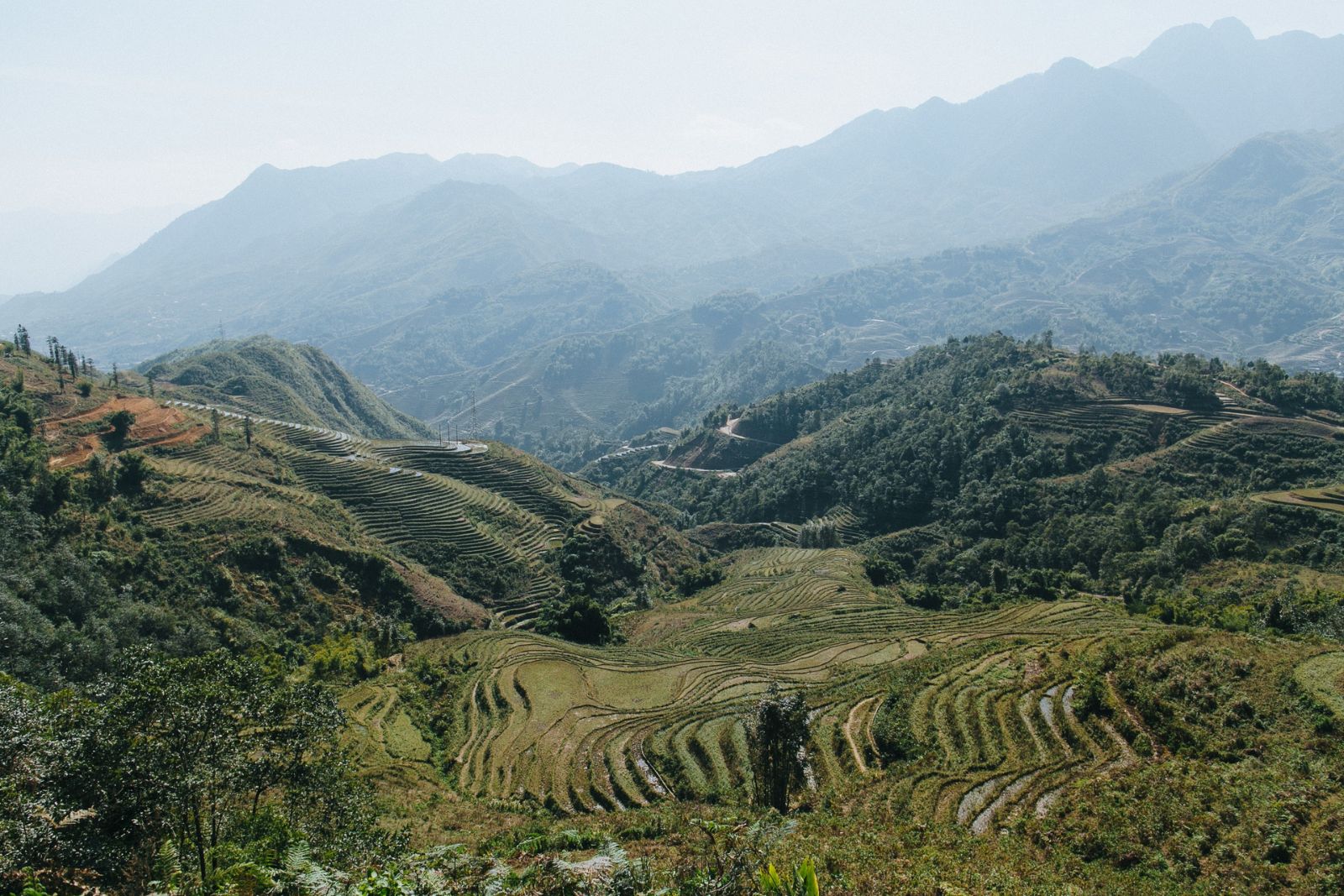 Smallholder farming landscape